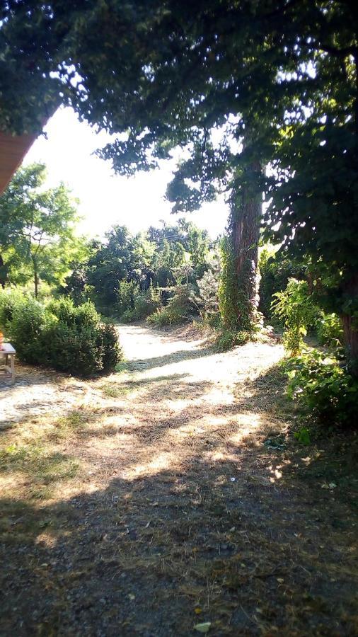 Świdnik Twoj Azylヴィラ エクステリア 写真