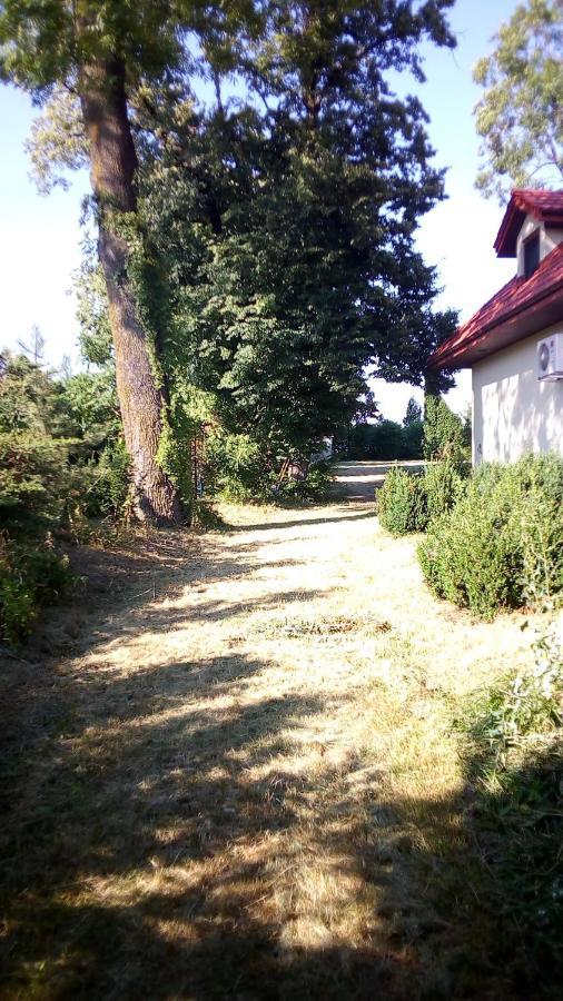Świdnik Twoj Azylヴィラ エクステリア 写真